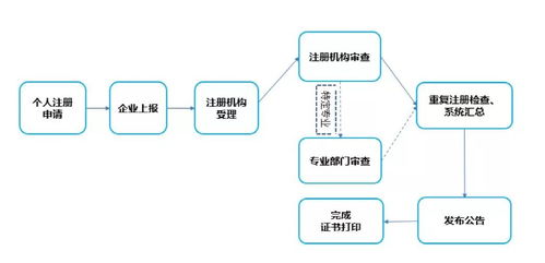 建造師注冊管理邁入數字化新篇章 個人與企業雙軌并行，信息系統集成服務全面升級
